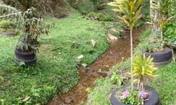 Imagem 3: Linda chácara à venda