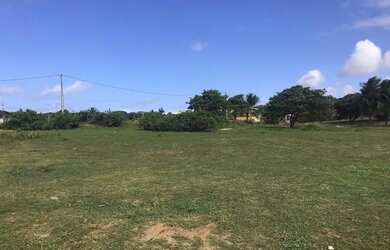 Imagem 4: Terrenos em Jenipabú