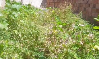 Imagem 5: Terreno murado a venda