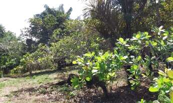 Imagem 3: Ótimo terreno em Iranduba