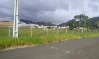 Imagem: Terreno plano à margem da Avenida Internacional