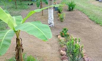 Imagem: Lindo Sitio em Balbina Presidente Figueiredo