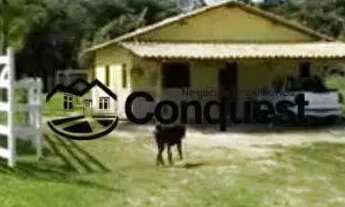 Imagem 7: Linda Fazenda Mista, 12 hectares totalmente aproveitados e produtivos, Cidade Entre rios M