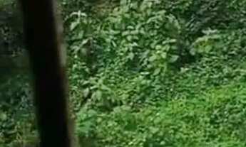 Imagem 4: VENDO CASA NO PARQUE FLUMINENSE ! ACEITO OFERTAS