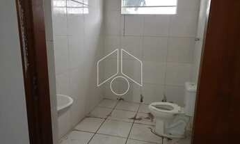 Imagem 5: Comercial GalpãoBarracão em Marília