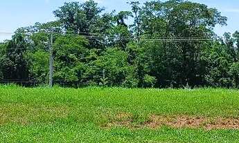 Imagem: Ágio Jardins Amsterdã