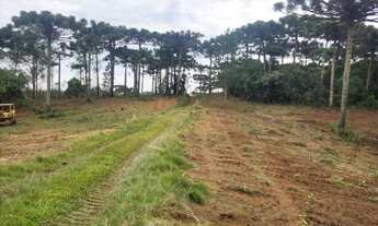 Imagem: Piraquara - Area de 20.000m2