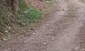 Imagem 5: Lote em Rua Marques - Quarta Divisão - Ribeirão Pires/SP