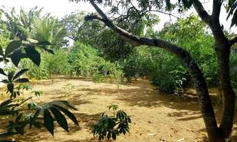 Imagem: Vendo Chácara em Chapada Grande