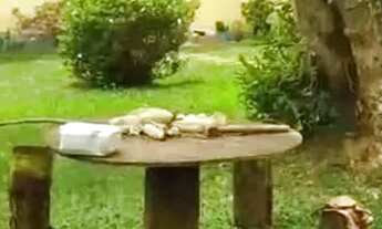 Imagem: Sitio em Desterro de Entre Rios MG 6 hectares