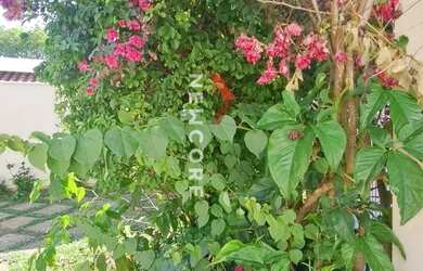 Imagem 6: Casa em Rua Egle Moretti Belintani - Parque das Flores - Campinas/SP