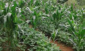 Imagem 4: Chácaras no bairro Santa luzia rural Taubaté