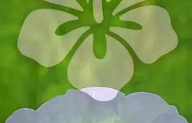 Imagem: Invista hoje onde a região está crescendo