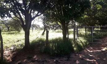 Imagem 2: Terreno/lote/chácara