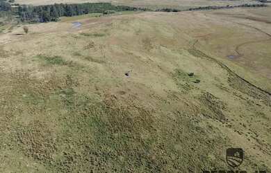 Imagem 5: Fazenda com 686ha em Arroio dos Ratos