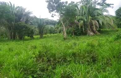 Imagem: Sitio c/ 100he (Escriturado), Terra de Cultura