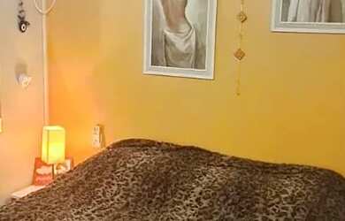 Imagem 2: Apartamento pra venda locado 2 dormitorios, na Engenheiro Rodolfo Simch - Sarandi