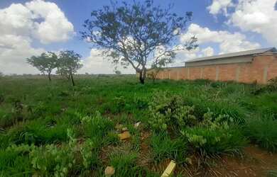 Imagem 3: Lote em frente barreira policial Aragoiania