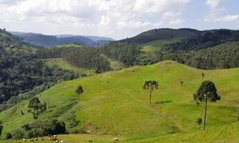 Imagem: Fazenda coronel domingos soares