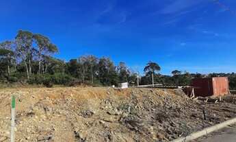 Imagem 6: CAXIAS DO SUL - Terreno Padrão - DIAMANTINO