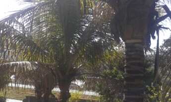 Imagem 4: Lindo Sítio (cidade de Paraopeba) 1.400 metros, do lado da BR040