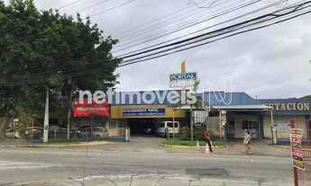 Imagem 4: Venda Lote-Área-Terreno Carianos Florianópolis