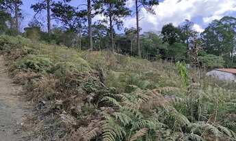 Imagem 4: Oportunidade Terrenos na Fazenda Suiça - Teresópolis RJ