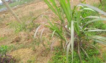 Imagem 4: Lote 450 m2 ITABIRITO MG