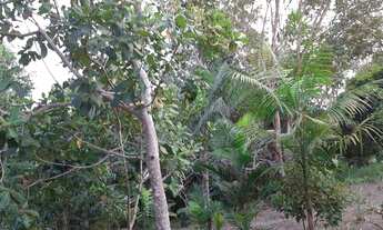 Imagem: VENDO TERREINO