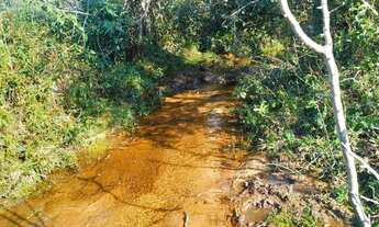 Imagem 5: Otima chácara para pecuária, localizada em Taquara!!