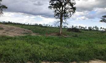 Imagem 4: Fazenda com 4 dormitórios à venda, 14955600 m² por R$ 27.000.000,00 - Centro - Porto Murti