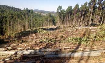Imagem 7: Chácara para venda tem 2,500 metros quadrados com 3 quartos em centro - Salesópolis - São