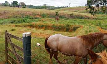 Imagem 3: Sítio 150 alqueires Região de Monte Negro