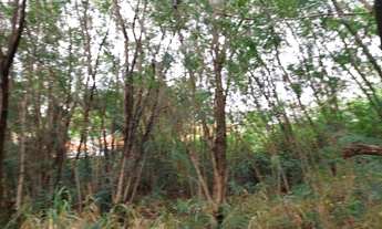 Imagem 4: Terreno - Jardim Paraíso - Campinas