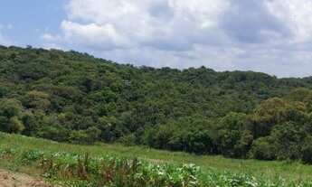 Imagem 5: O-21 Cuide da segurança da sua família