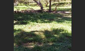 Imagem 7: Propriedade em Nina Rodrigues-MA 50 hectares