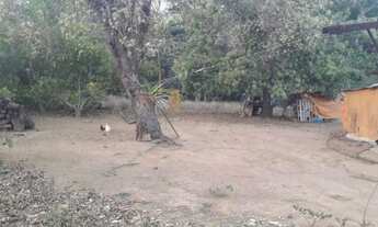 Imagem 6: Imóvel no Parque Eldorado