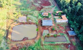 Imagem 3: CHACARA REDEA CURTA ENG BELTRAO - PR 3 ALQUEIRES