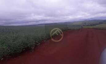 Imagem: Fazenda à venda, 3751000 m² - Centro