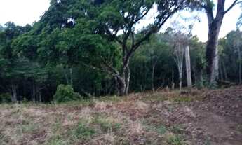 Imagem 3: Terrenos ótimos para formar chacaras