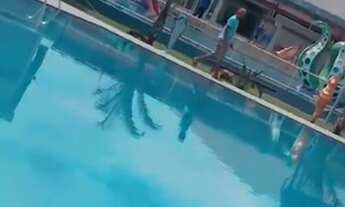 Imagem: Aluguel sitio ouro minas só finais de semana