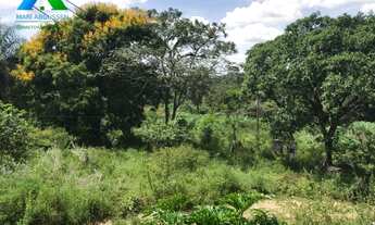 Imagem 3: Excelente terreno em santa Luzia, 210.000 m², plano