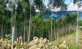 Imagem 5: Venha escolher a melhor unidade disponível!