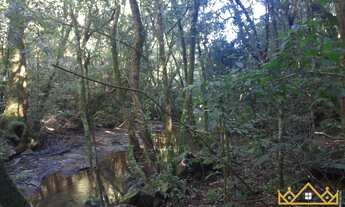 Imagem 3: Sítio / Chácara para Venda em São Francisco de Paula, Boa Vista, 3 dormitórios, 2 banheiro