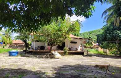 Imagem 7: Casa com 4 dormitórios à venda, 230 m² por R$ 1.450.000,00 - Barra De Sao Miguel - Barra d