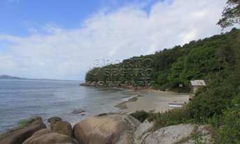 Imagem: Lote/Terreno para venda possui 11000 metros