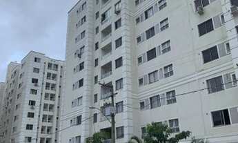 Imagem 3: Alameda dos Ipês