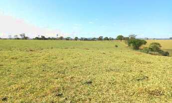Imagem: Fazenda a venda Município de Guapo - GO