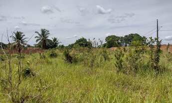 Imagem 5: Chácara para venda possui 999 metros quadrados em Urano - Satuba - Alagoas