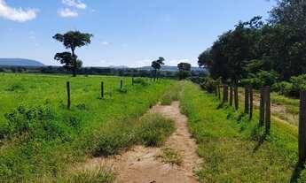 Imagem: Vendo terreno na estrada da produção